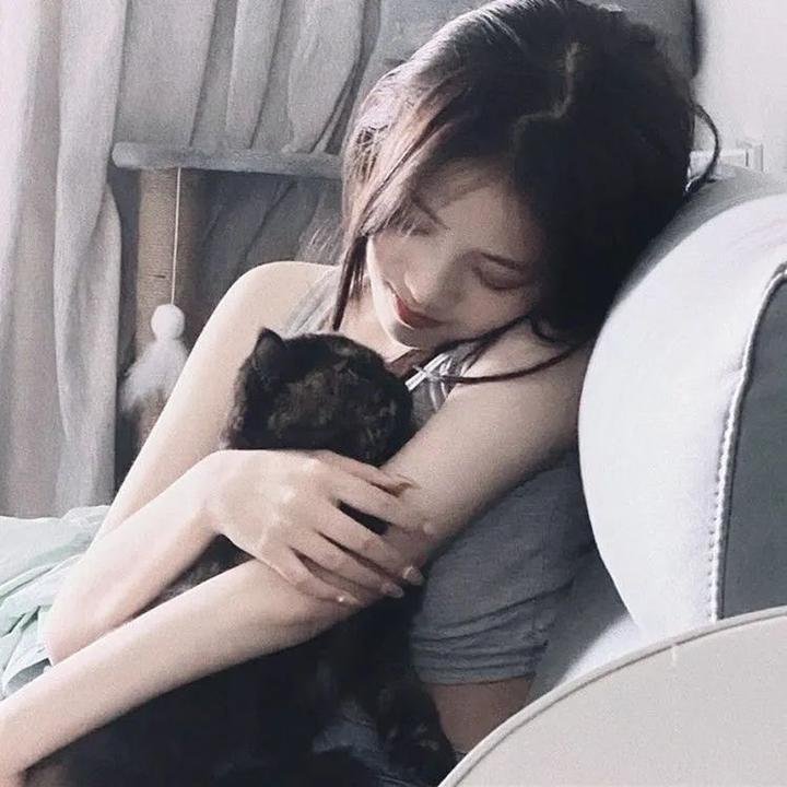 孤独的美食家 第七季