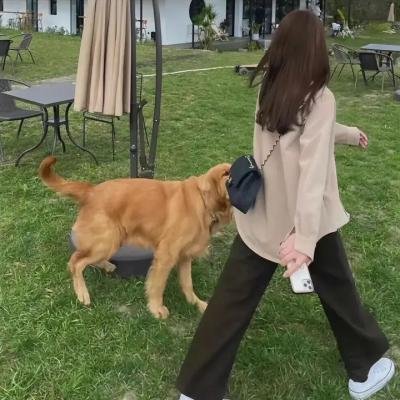 谁来为我摘月亮